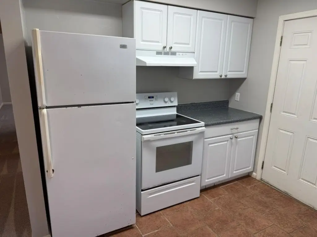 Picture 14