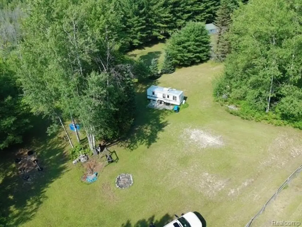 Picture 5