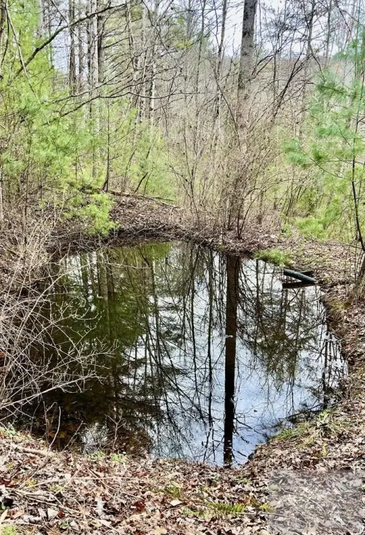Picture 39