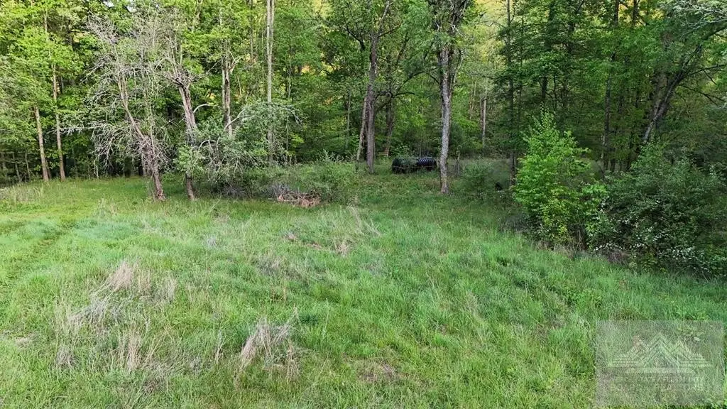Picture 21
