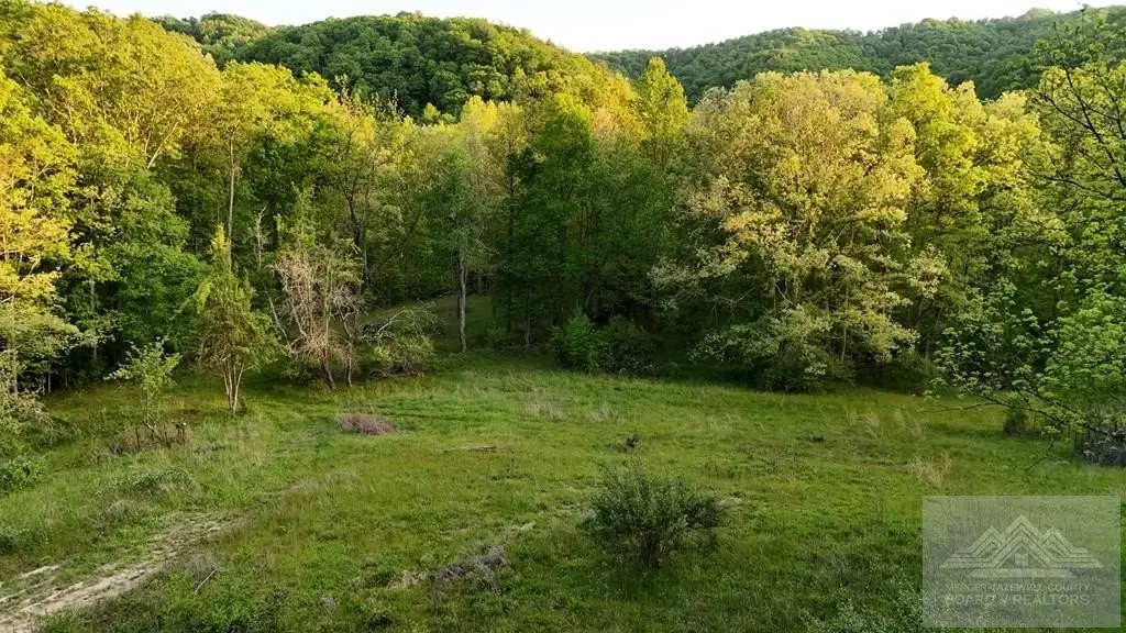 Picture 3