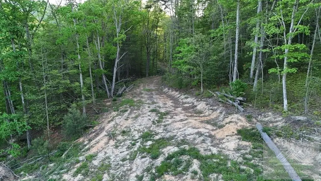 Picture 25