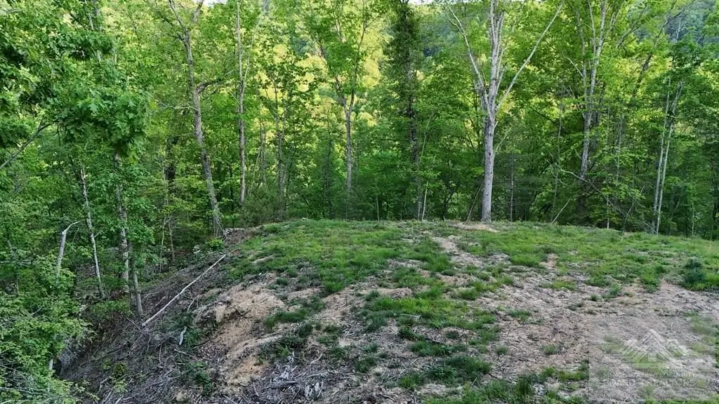 Picture 29