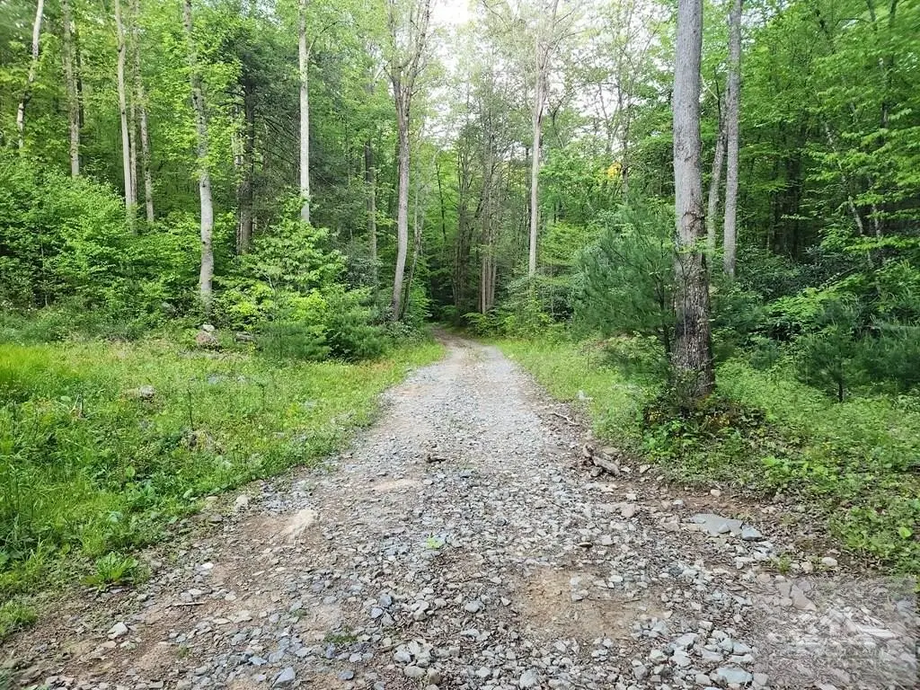 Picture 46