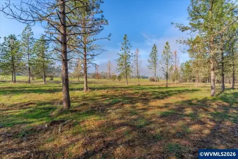 8+ Acres of Scenic Land