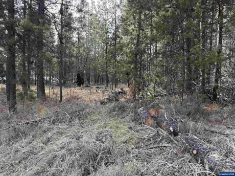 Half-Acre Lot in La Pine