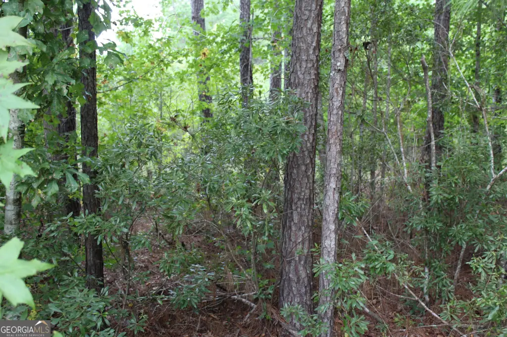 Picture 3