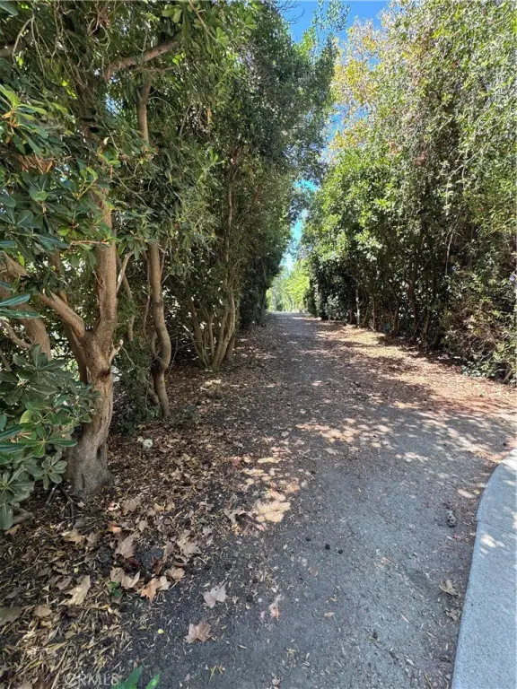 Picture 33