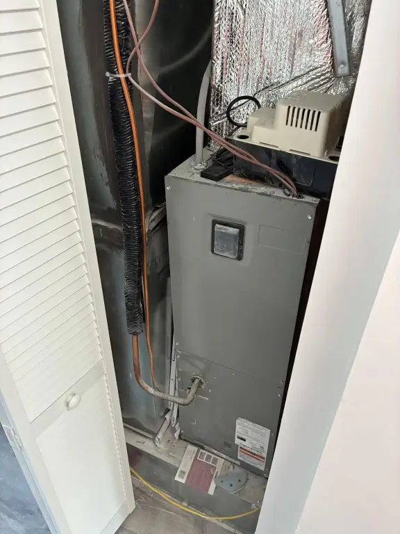 Picture 29