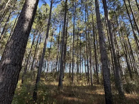 205 Acres of Recreational Land