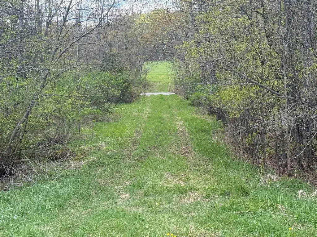 Picture 8