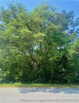 Residential Lot in Riverview