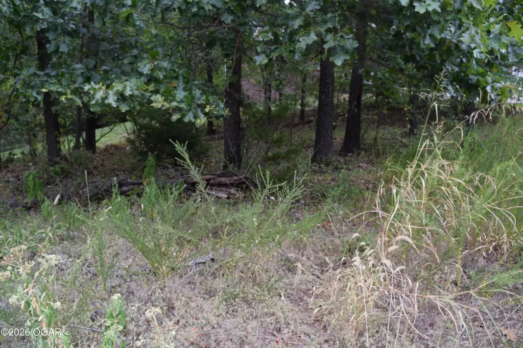 Picture 18