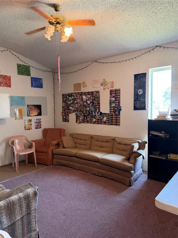 Picture 22