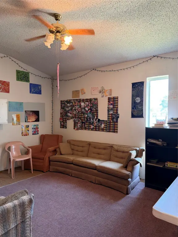 Picture 21