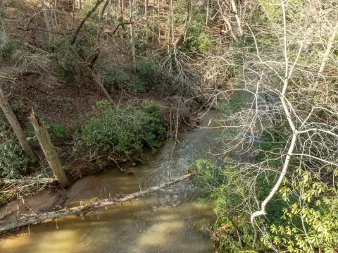 Creekfront Lot in Cleveland, GA