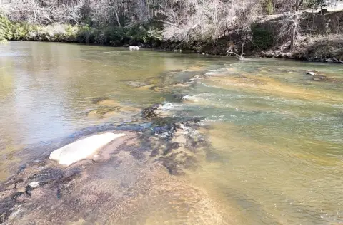 7 Acres with River Frontage