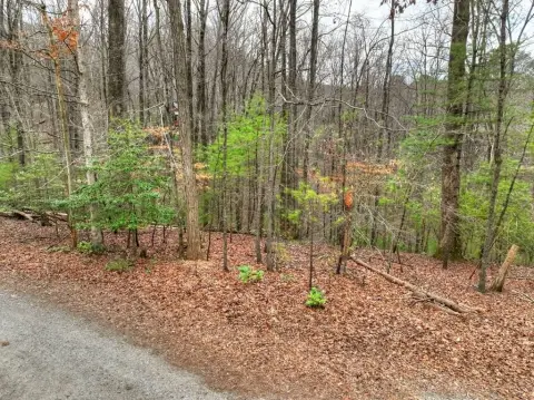Ellijay Vacant Double Lot Opportunity