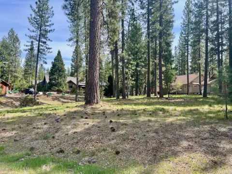 Plumas Pines Land Parcel