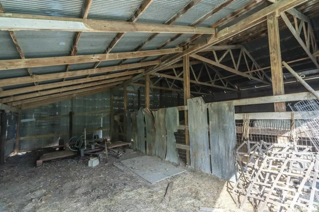 Picture 14