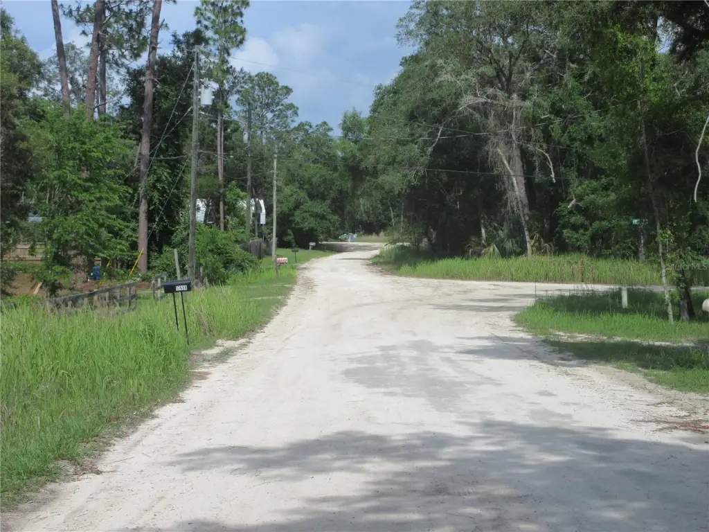 Picture 35