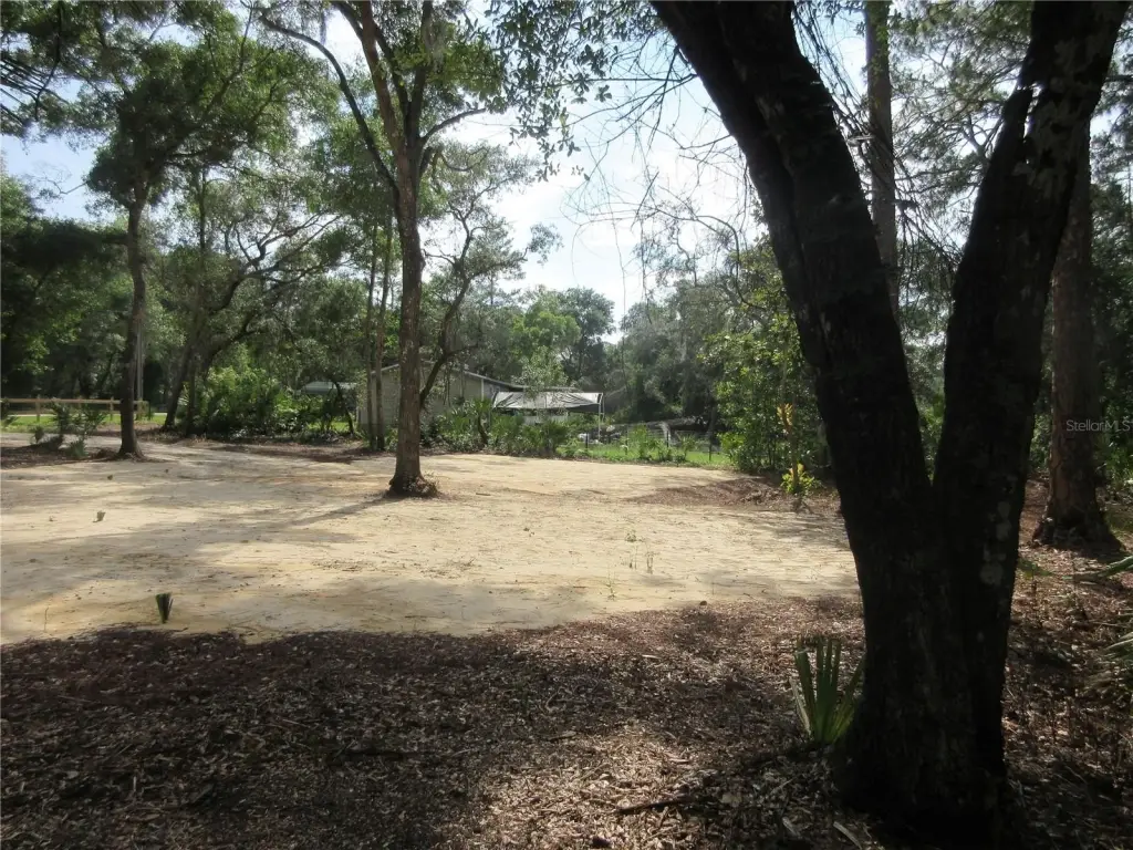 Picture 29