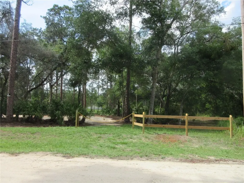 Picture 19
