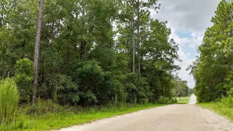 Rural Homesite Lot Near Equestrian Center