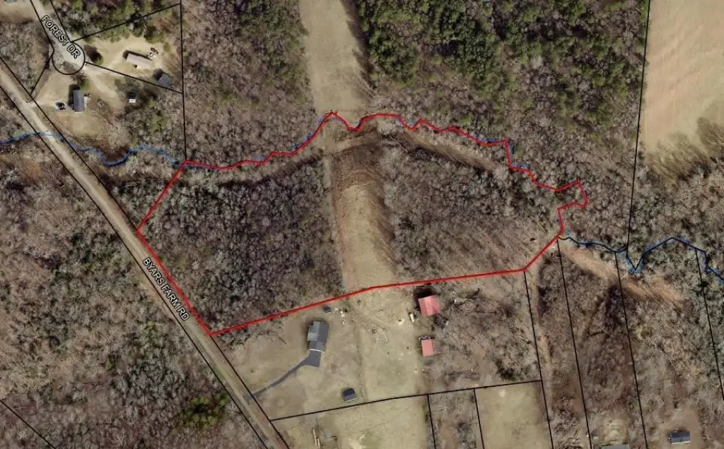 Picture 11