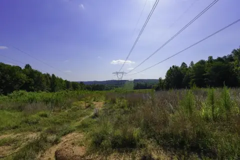 Rolling Agricultural Land