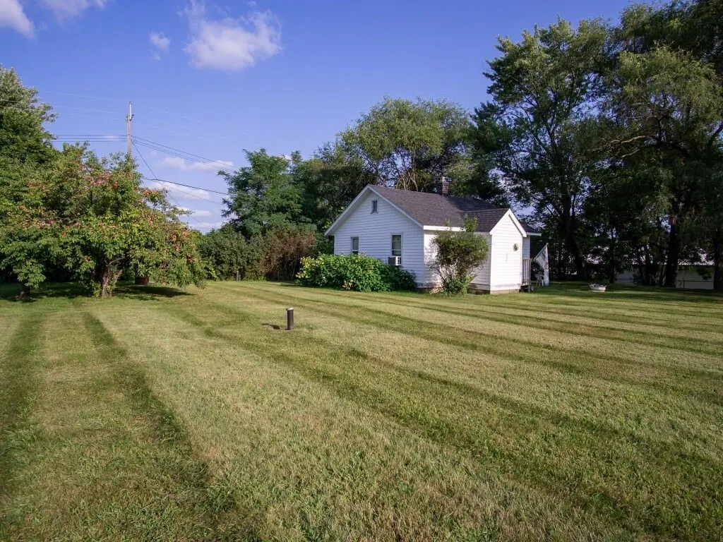 Picture 8