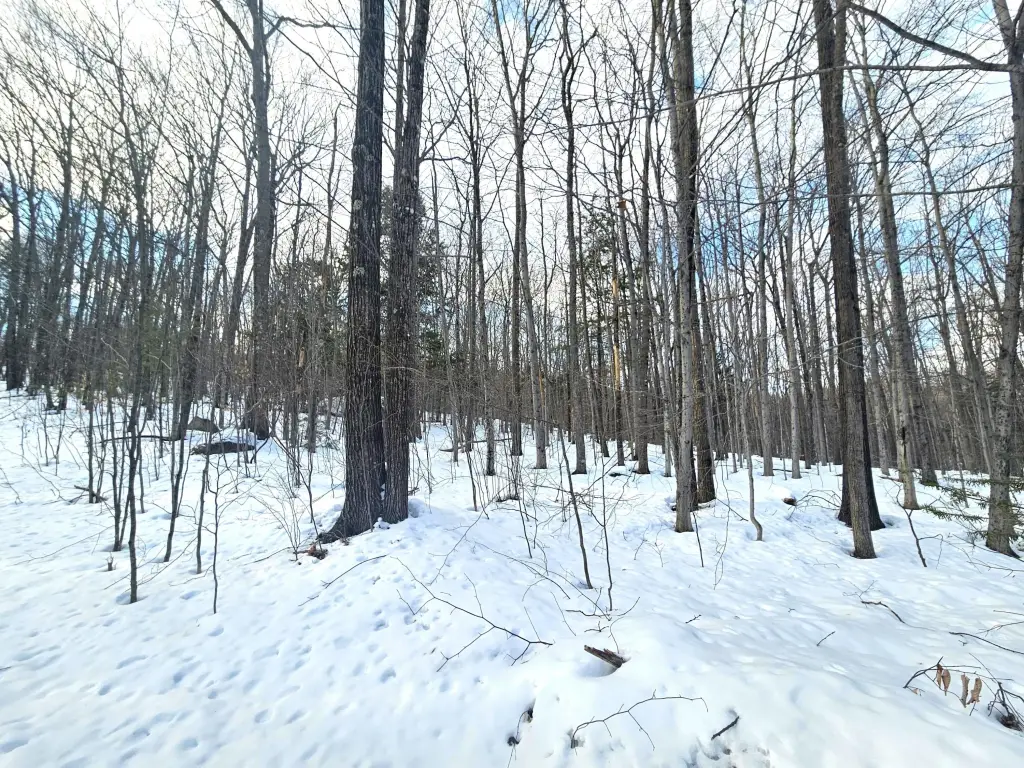 Picture 33