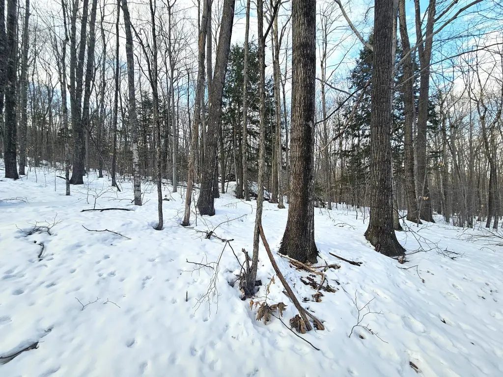 Picture 21