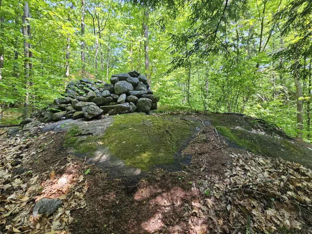 Picture 5