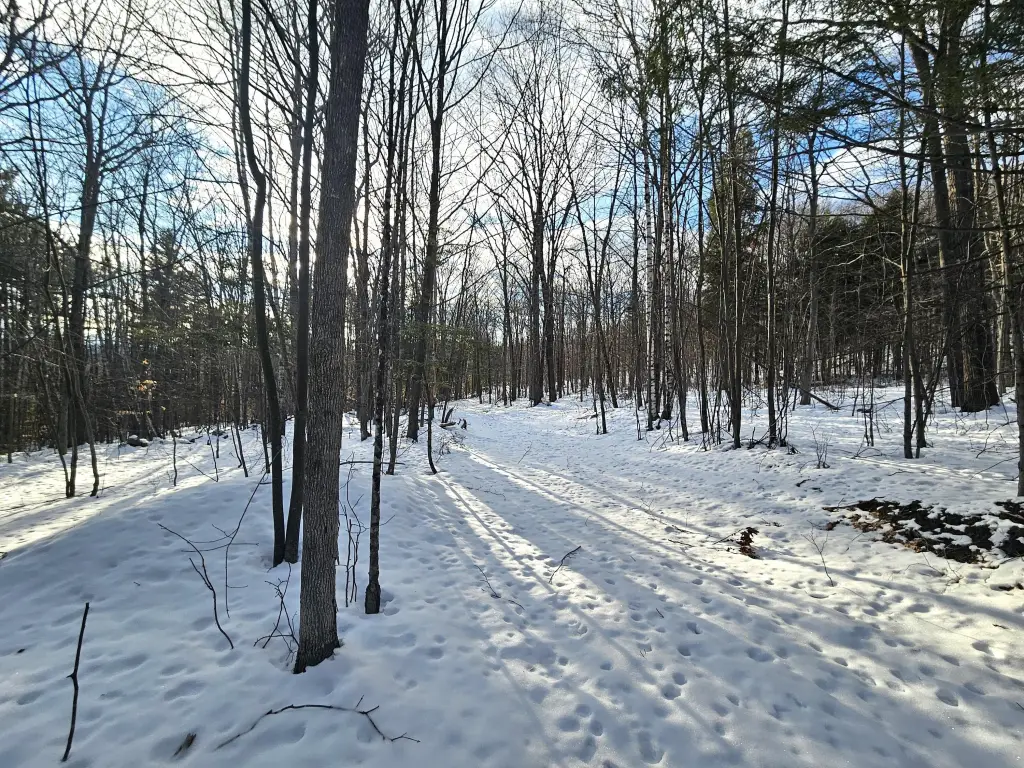 Picture 37