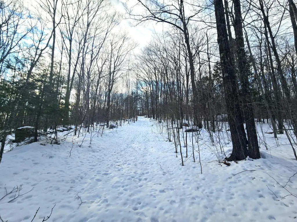 Picture 31
