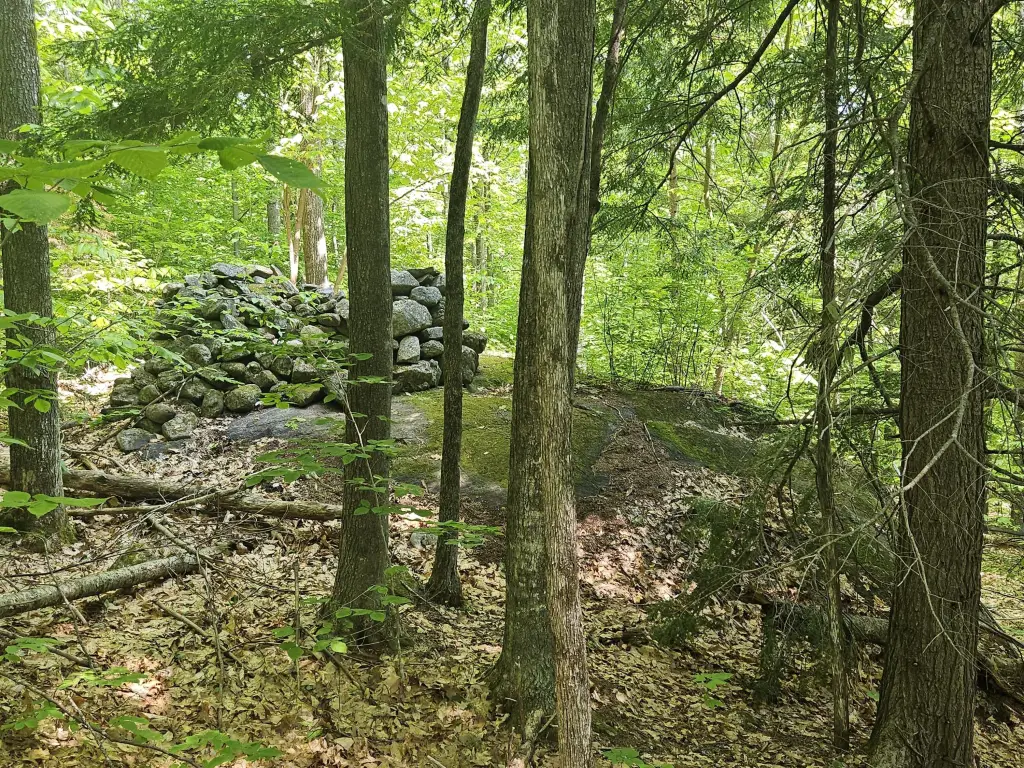 Picture 4