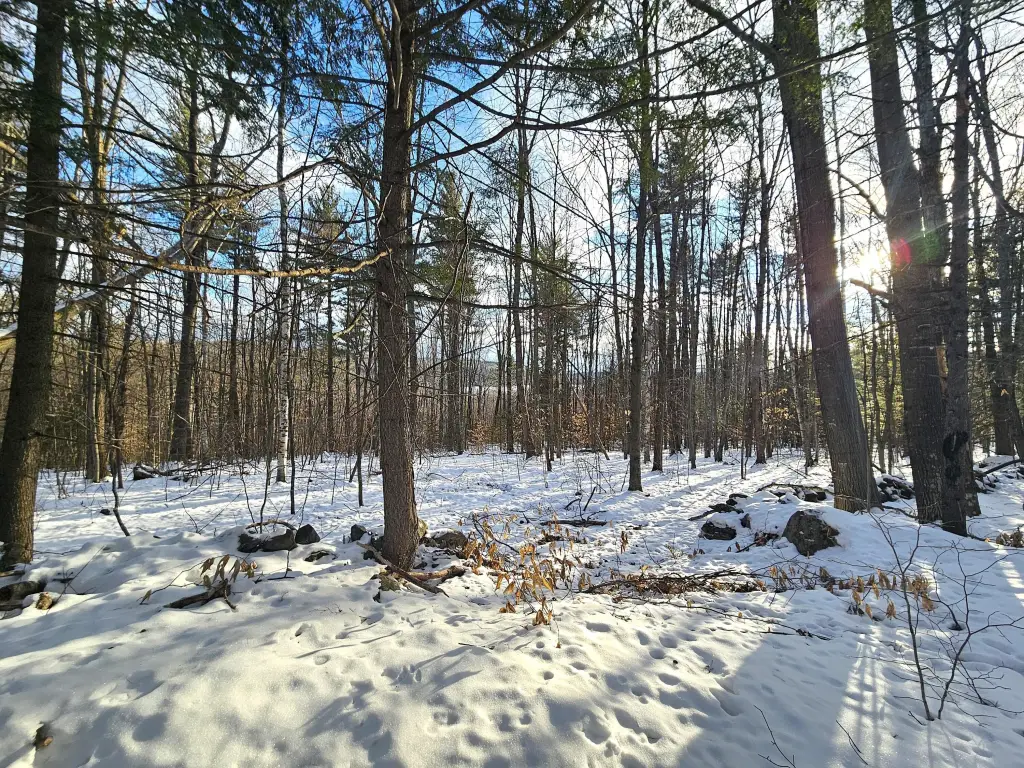 Picture 32