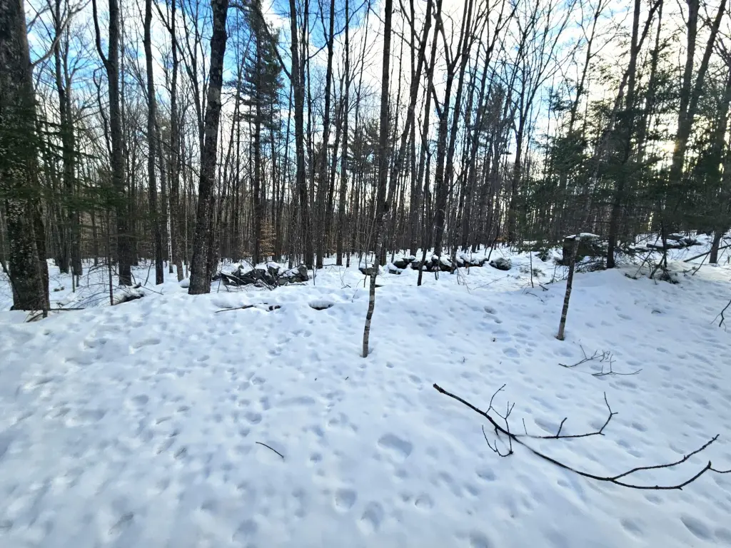Picture 19