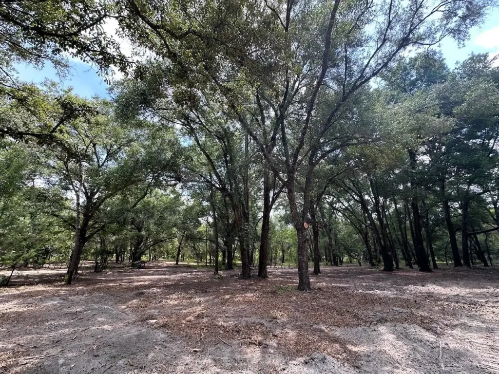 Picture 23