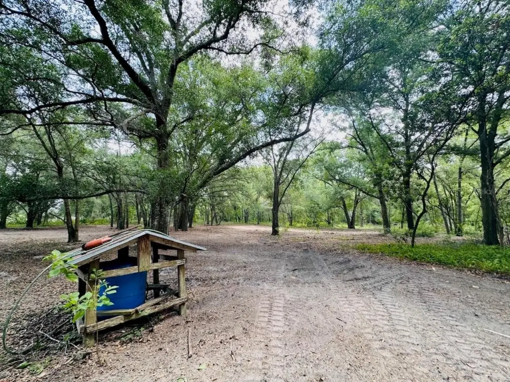 Picture 19
