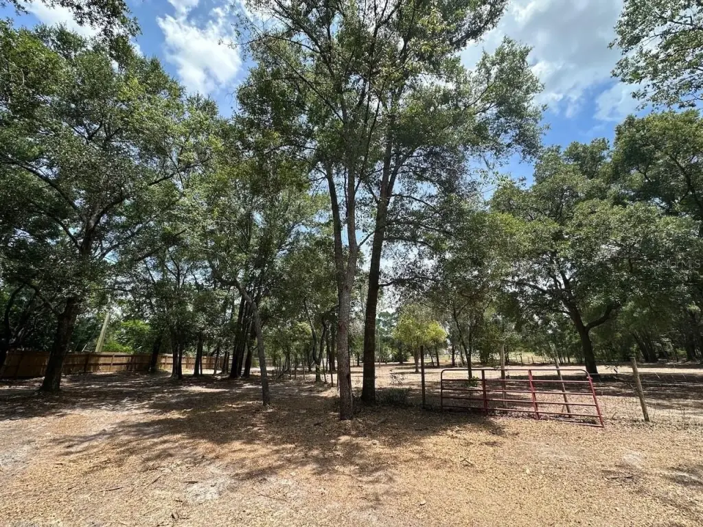 Picture 15