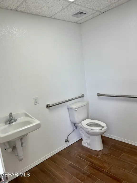 Picture 33
