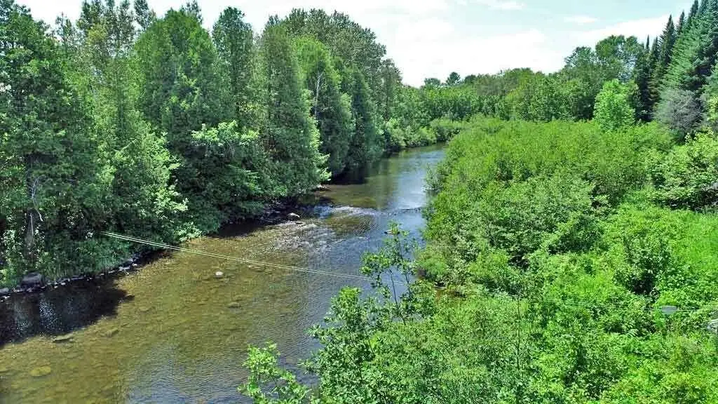 Picture 27