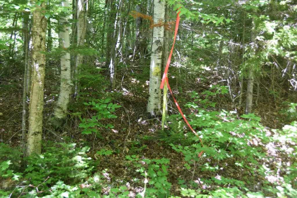 Picture 9
