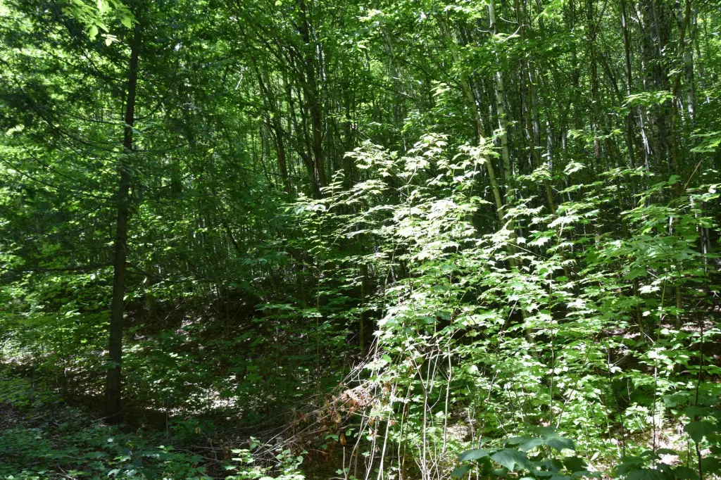 Picture 6