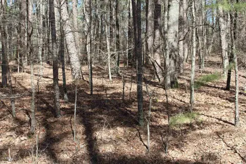 Residential Lot in Hot Springs