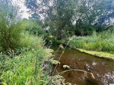 Lake Roberts Commercial Land Parcel