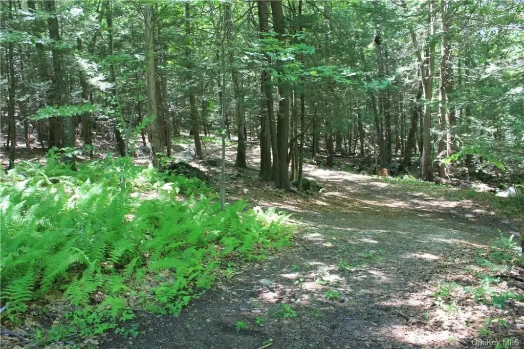Picture 4