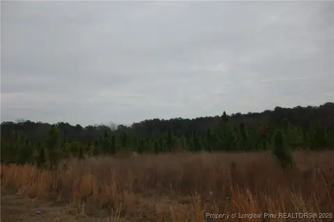 Residential Land in Fairmont, NC